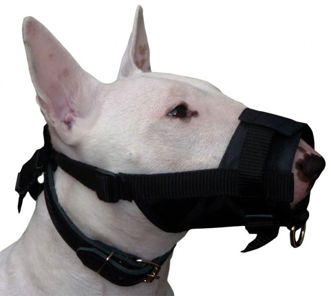 adjustable-nylon-dog-muzzle-nobite