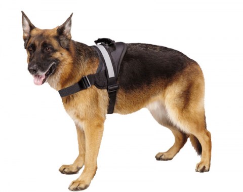 bigdog-soft-reflective-no-pull-harness