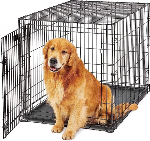 cage4