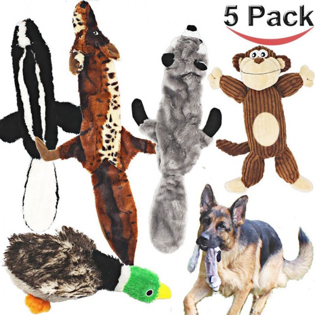 jalousie-5-pack-dog-squeaky-toys