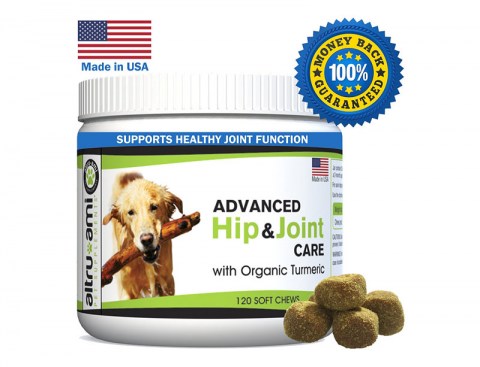 msm-glucosamine-treats-for-dogs-advanced-hip-and-joint-supplement-pain-relief