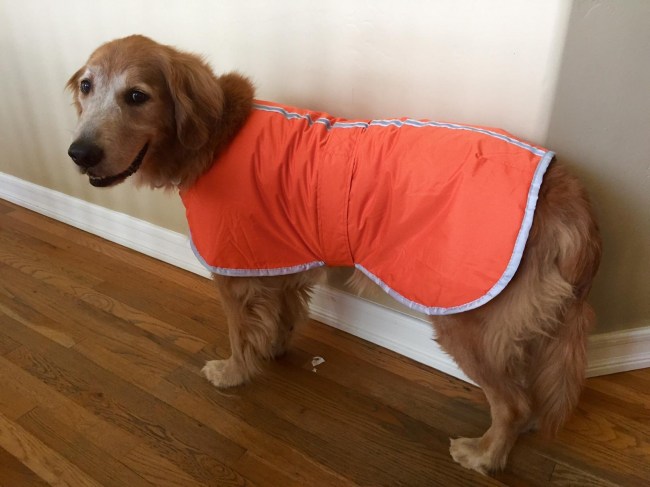 zack-zoey-polyester-noreaster-dog-blanket-coat